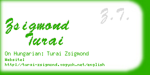 zsigmond turai business card